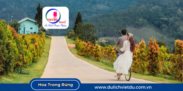 The Florest Đà Lạt thơ mộng
