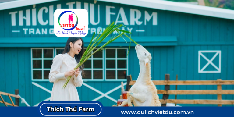 Thích thú farm Đà Lạt
