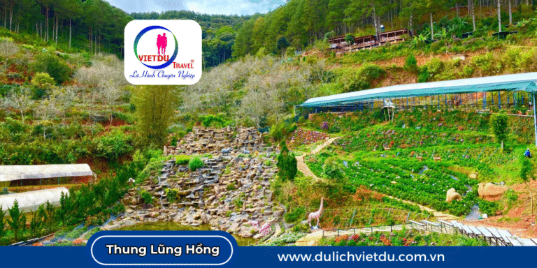 Thung Lũng Hồng Đà Lạt