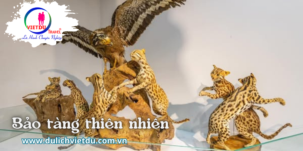 Tour rừng Nam Cát Tiên 2 ngày 1 đêm