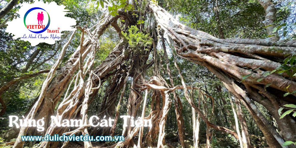Tour rừng Nam Cát Tiên 2 ngày 1 đêm