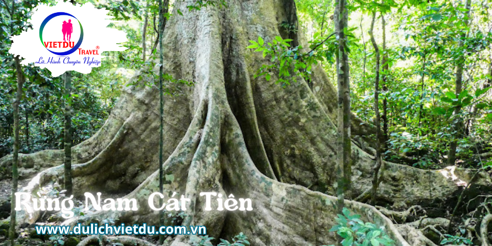 Tour rừng Nam Cát Tiên 2 ngày 1 đêm