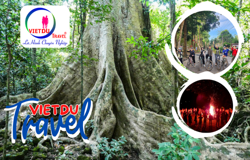 Tour rừng Nam Cát Tiên 2 ngày 1 đêm