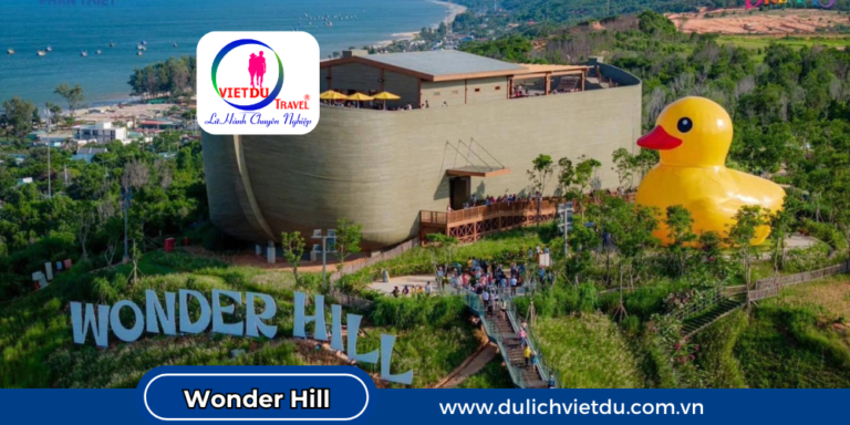 Wonder Hill