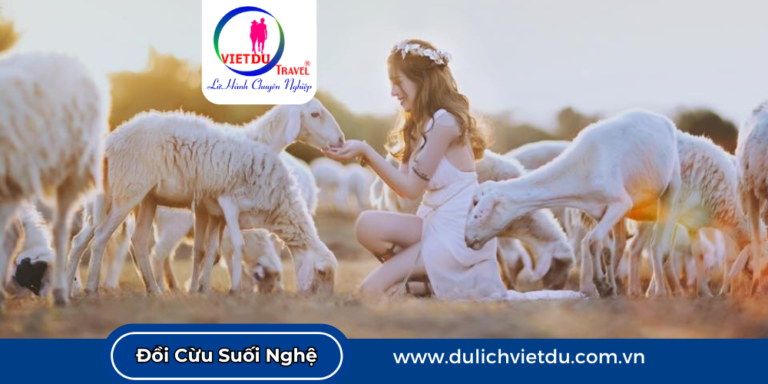 Đồi cừu suối nghệ