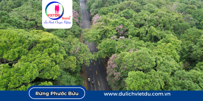 Rừng nguyên sinh Phước Bửu