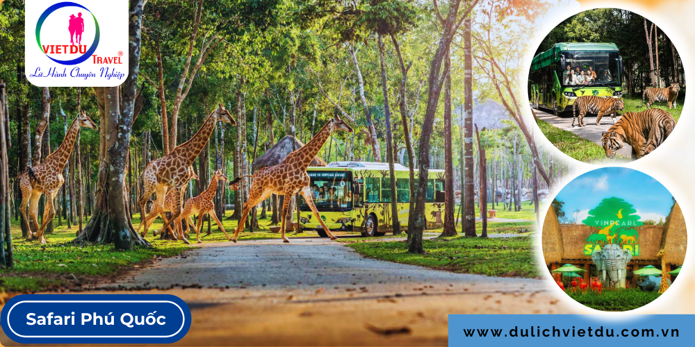 Tour Phú Quốc 3 ngày 2 đêm Vinwonder