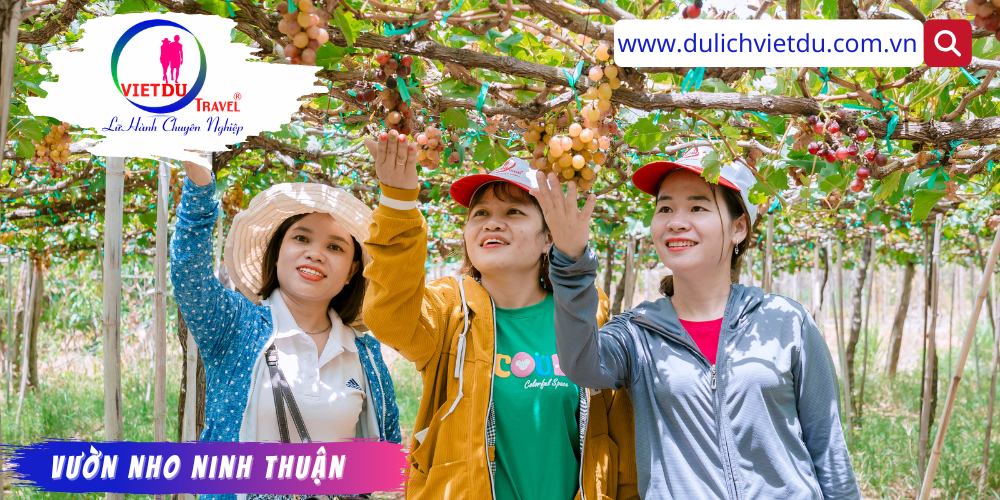 Du lịch Cam Ranh 3 ngày 2 đêm – Wyndham garden Cam Ranh 5 sao