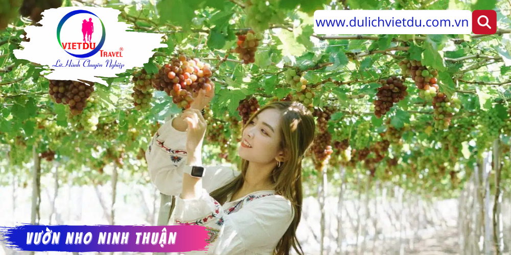 Tour Cam Ranh Vĩnh Hy 3 ngày 2 đêm