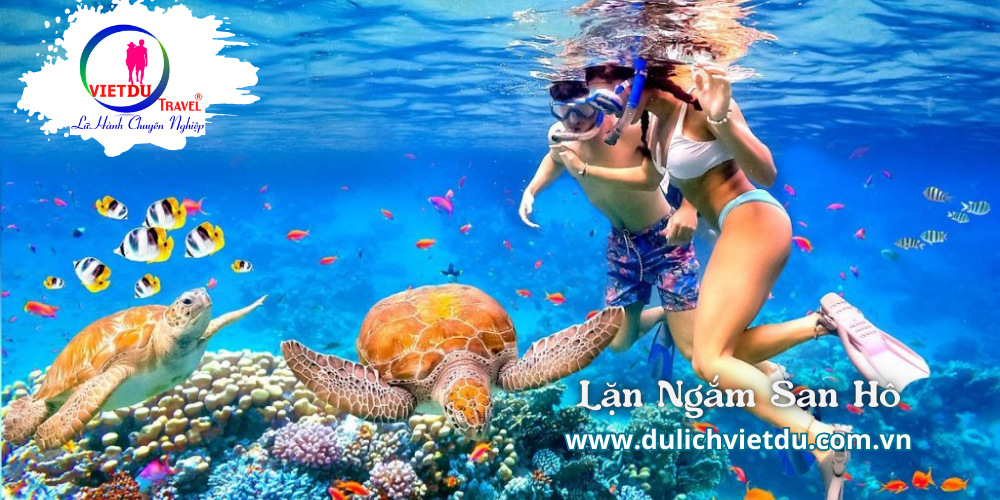 Tour Long An Nha Trang 3 ngày 3 đêm