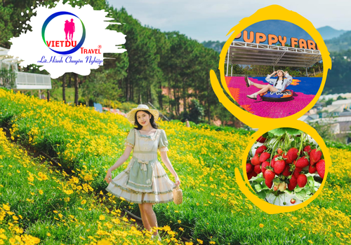 Tour Bình Phước Đà Lạt 2 ngày 2 đêm giá rẻ
