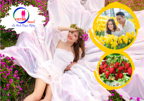 Tour Bình Phước Đà Lạt 3 ngày 3 đêm