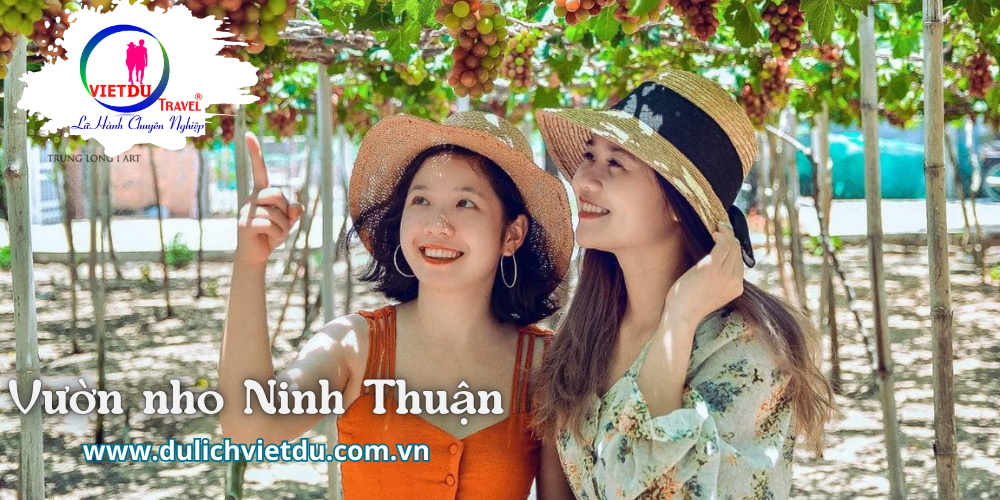 Tour Nha Trang Team Building – Lửa trại – Gala Dinner (3n2d)