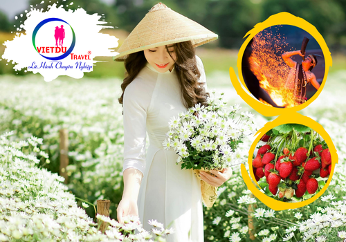 Tour Tây Ninh Đà Lạt 3n3đ xe giường nằm