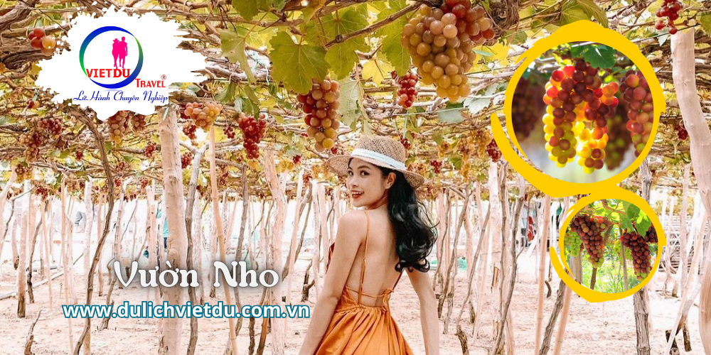 Du lịch Phan Thiết bằng tàu hoả 2n1d
