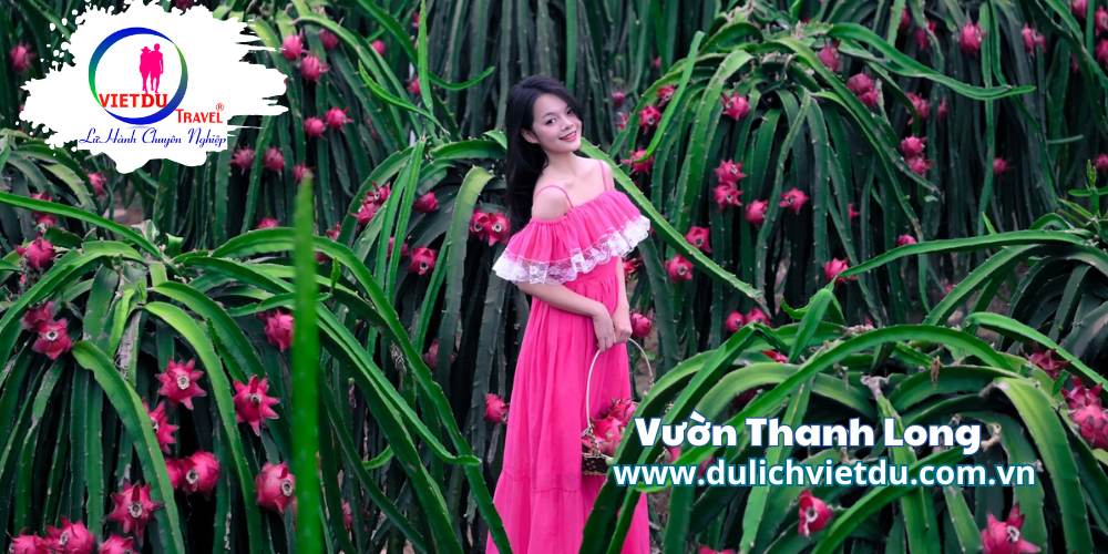 Vườn Thanh Long