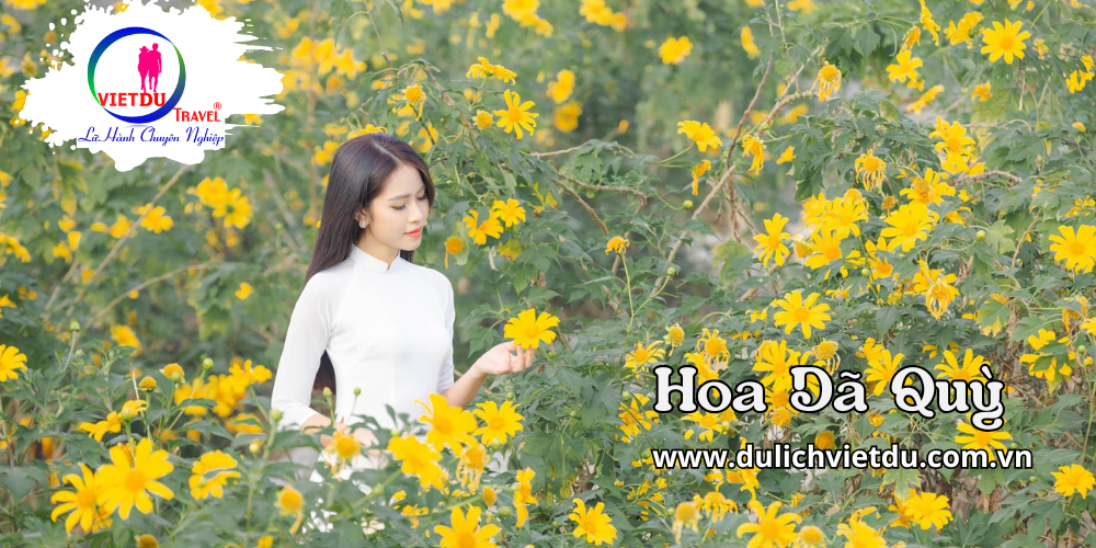 Tour Bình Dương Đà Lạt 3 ngày 3 đêm