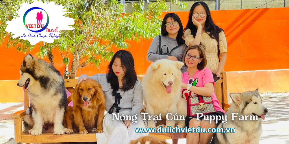 Tour Bình Dương Đà Lạt 3 ngày 3 đêm