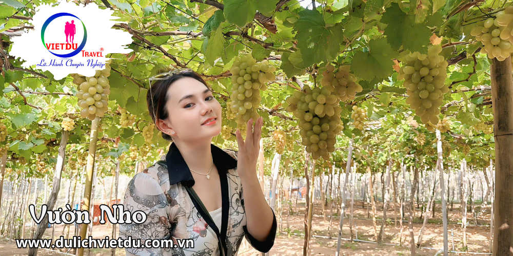 Tour Nha Trang đi tàu về xe