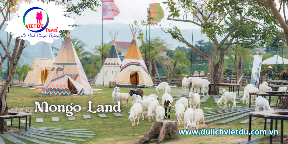 Tour Phan Thiết Đà Lạt 3 ngày 2 đêm – Gala Dinner