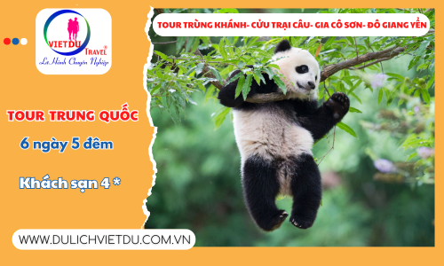 Tour Trùng Khánh- Cửu Trại Câu- Gia Cô Sơn- Đô Giang Yển