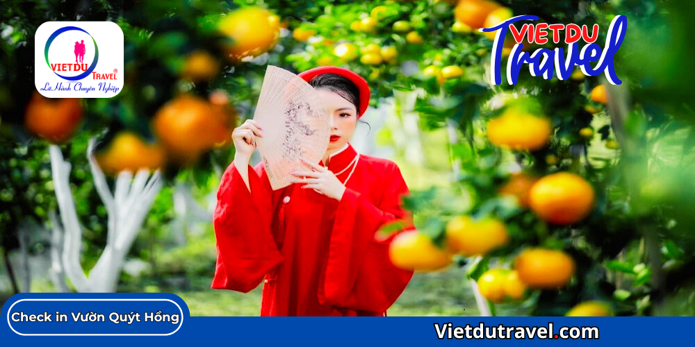 Tour Làng Hoa Sa Đéc 1 ngày