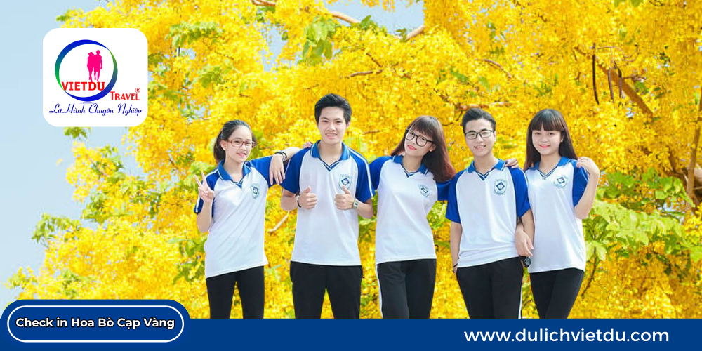 Check in Hoa Bò Cạp Vàng
