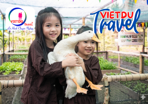 Nông Trại Rồng 1 ngày cho học sinh