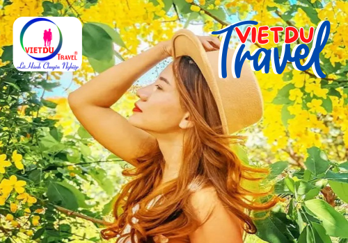 Tour Bò Cạp Vàng 1 ngày