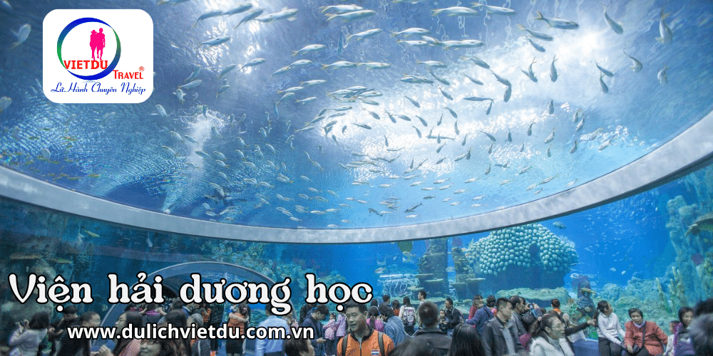 Tour Nha Trang 3 ngày 2 đêm cho học sinh