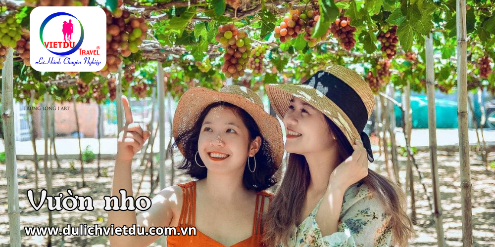 Tour Nha Trang 3 ngày 2 đêm cho học sinh