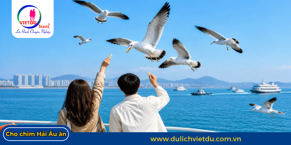 Tour Hàn Quốc 4 ngày 4 đêm giá rẻ